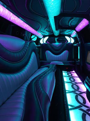 Party limos professional service