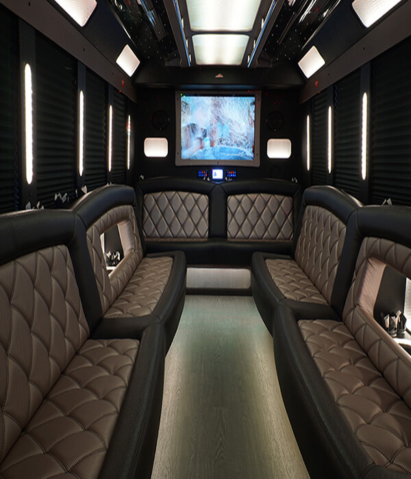 Party bus rental luxury transportation